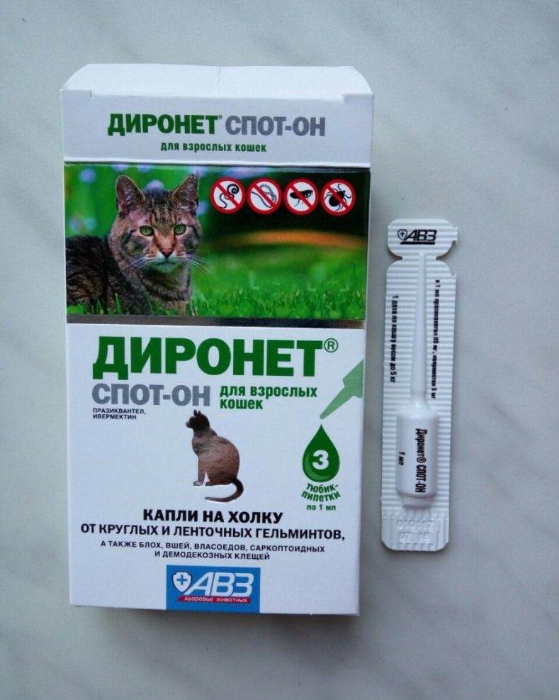 Диронет для кошек (капли спот-он, таблетки, суспензии): инструкция по применению, отзывы