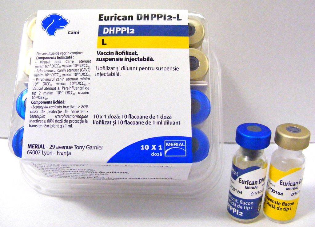 Эурикан dhppi2 - вакцина для собак │  инструкция по применению эурикан dhppi2 lr