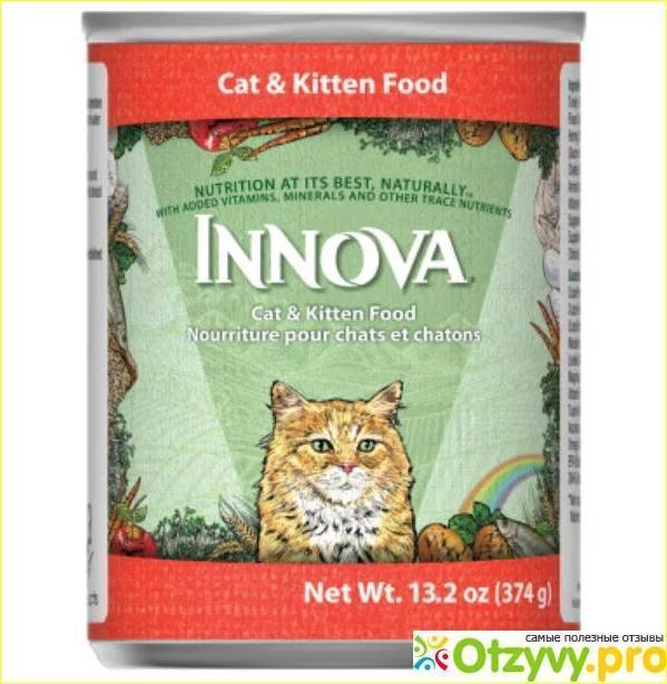 Innova evo: философия здорового питания для вашей кошки