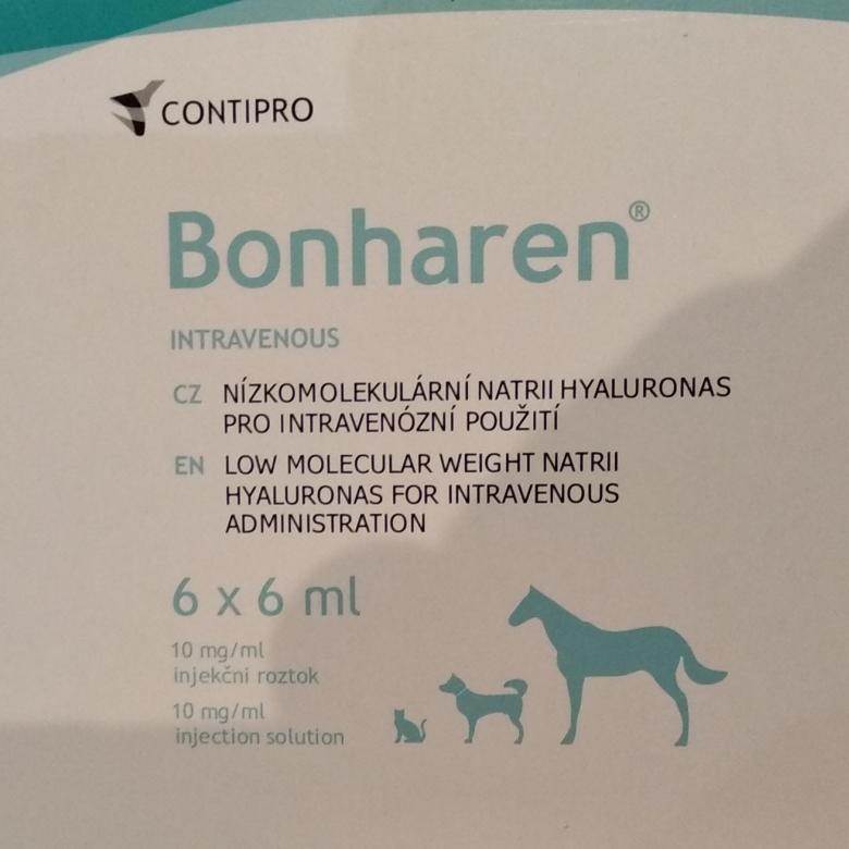 Бонхарен для собак: инструкция по применению, аналоги и отзывы ветеринаров о лекарстве. как колоть препарат и каких результатов ждать?