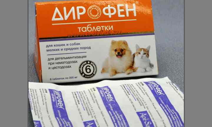 Инструкция по применению дирофена у кошек. рассчитайте оптимальную дозу препарата кошкам. изучите широту антгельминтного эффекта дирофена для комплексного лечения множества паразитарных патологий у ко