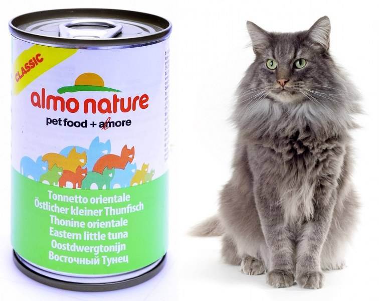 Корм almo nature для кошек: особенности и отзывы питания для животных