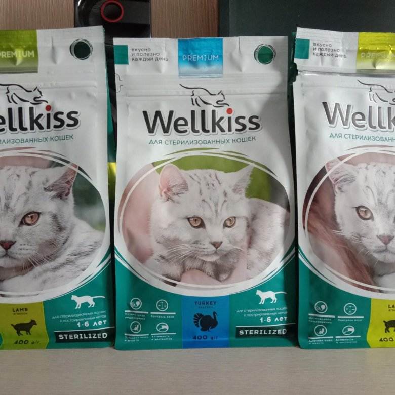 Корм для кошек wellkiss: 8 популярных видов, отзывы, стоит ли давать