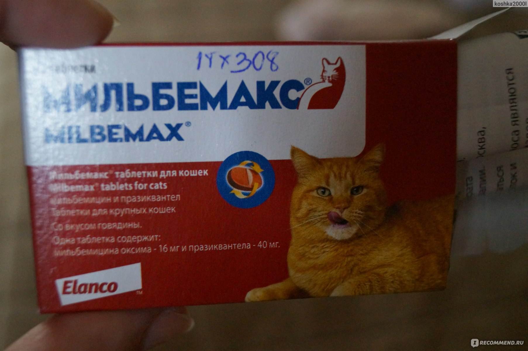 Инструкция по применению и стоимость препарата мильбемакс для котов