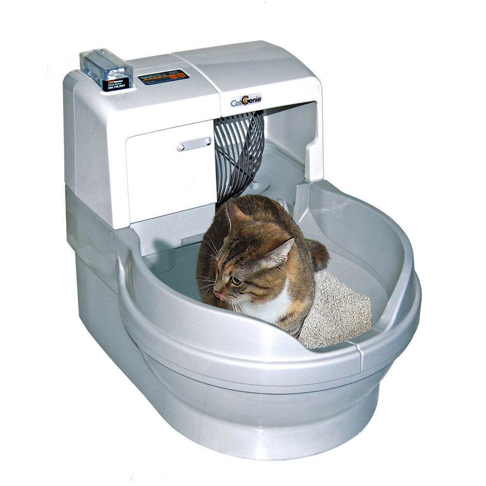 Туалет для кошек: выбираем идеальную модель кошачьего биотуалета