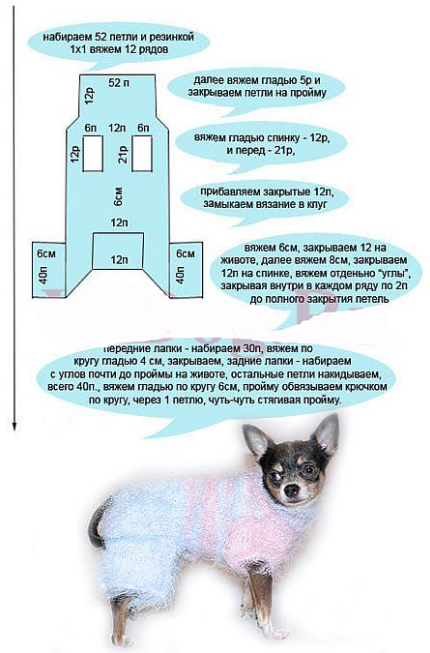 Как связать одежду для собаки своими руками: схемы с описанием, снятие мерок