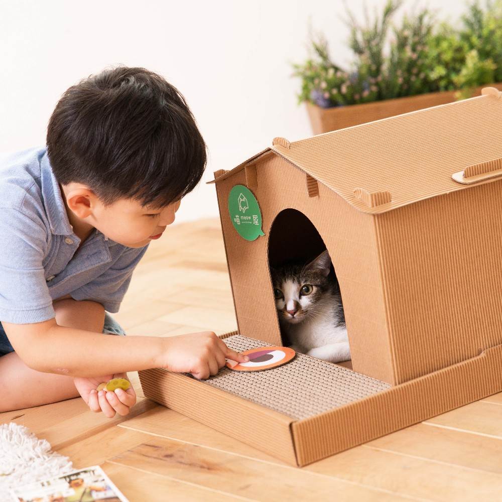 Домик для кошки своими руками из картонной коробки — идеи и инструкции с фото