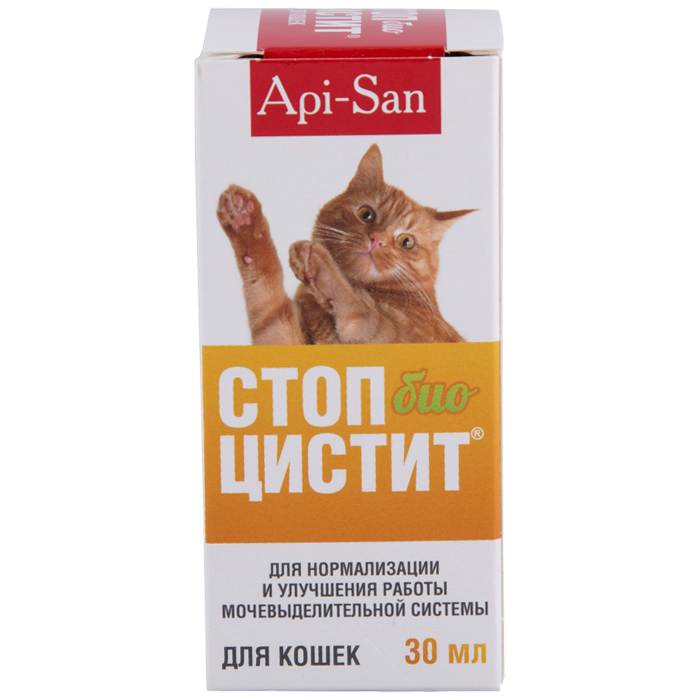 Включи кот стоп