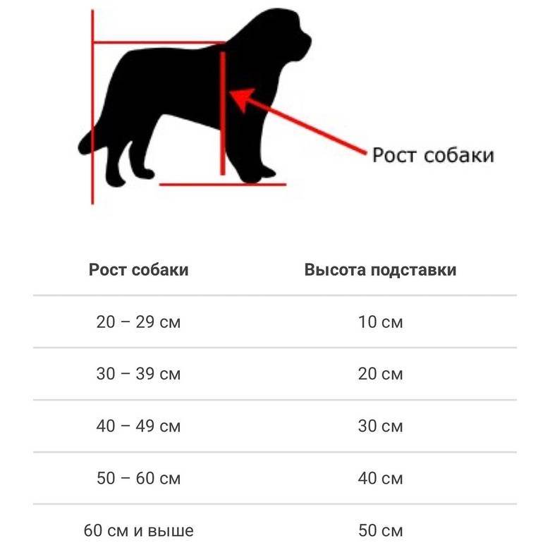 Вес немецкой овчарки: какая норма у щенка и взрослой собаки