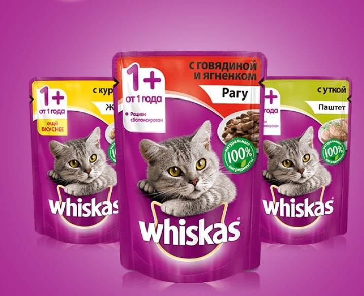 «вискас» для котят и взрослых кошек: можно ли кормить таким кормом любимца