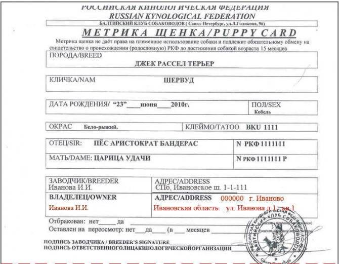 Документы ркф на собаку — что это?