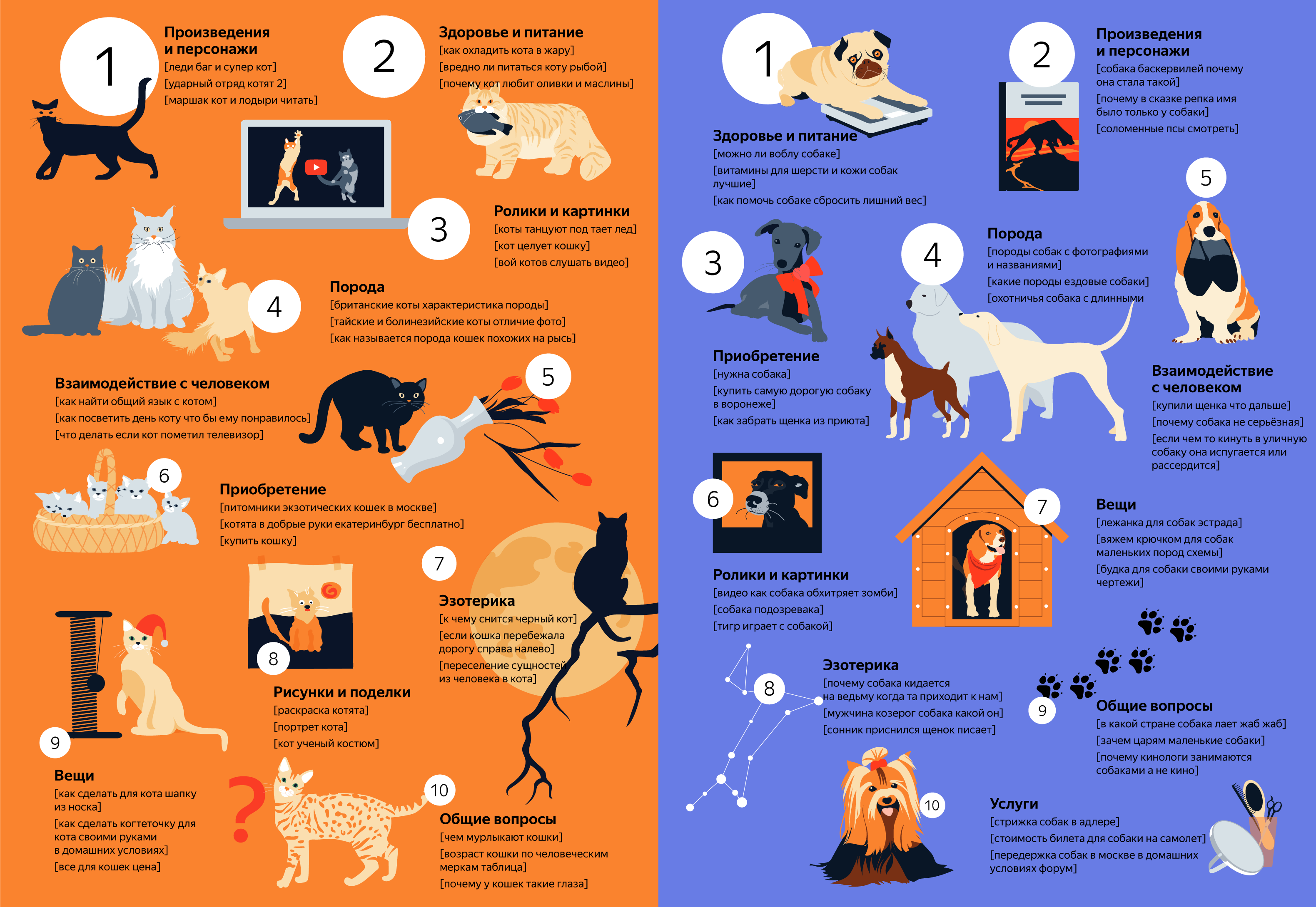 Инфографика собаки