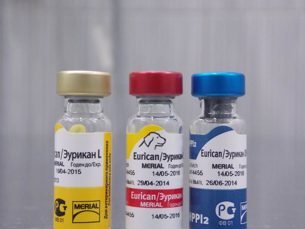 Вакцина  эурикан для собак │ инструкция по применению собаке эурикана