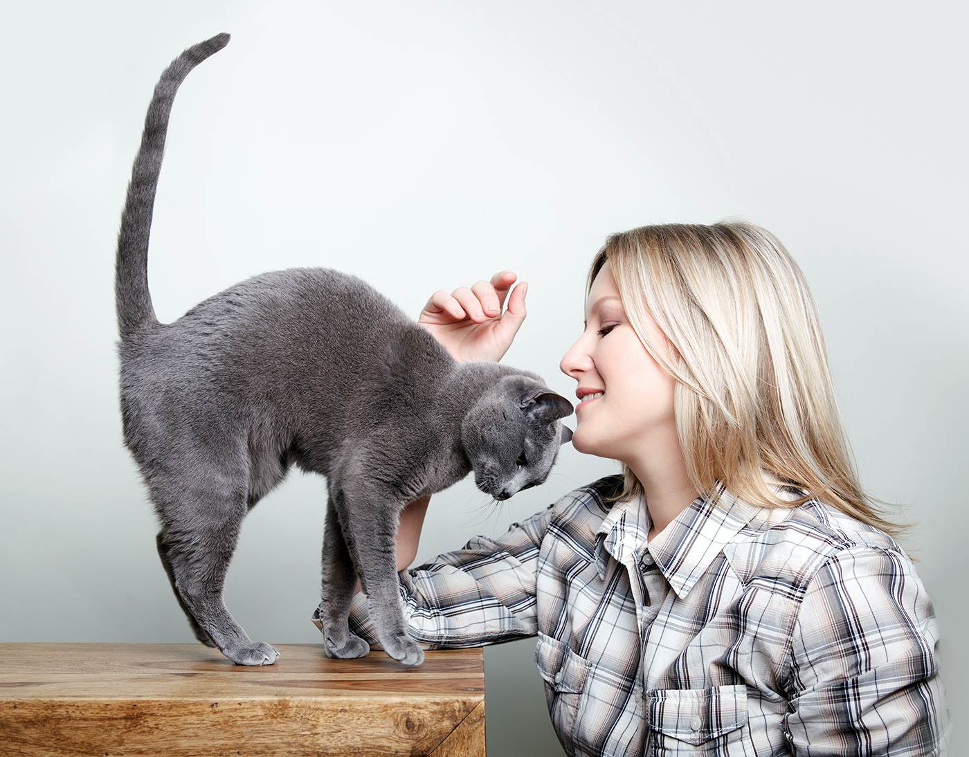 5 моделей поведения кошки, предупреждающих о негативе в доме
