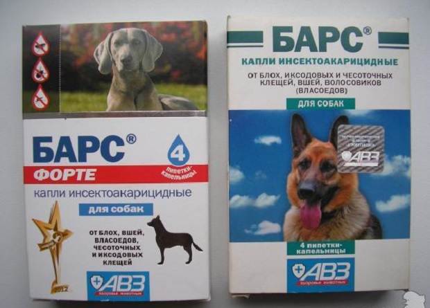 Почему ветеринары рекомендуют барс