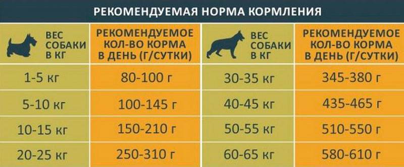 Нормы необходимого количества сухих кормов для собак в сутки: таблицы