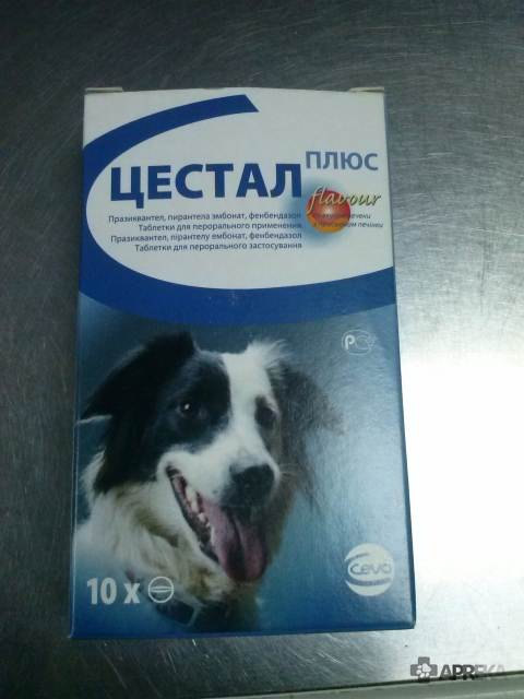 Цестал для собак: инструкция по применению с ценой и отзывами. как давать таблетки от глистов "плюс" и что принимать вместо них щенкам?