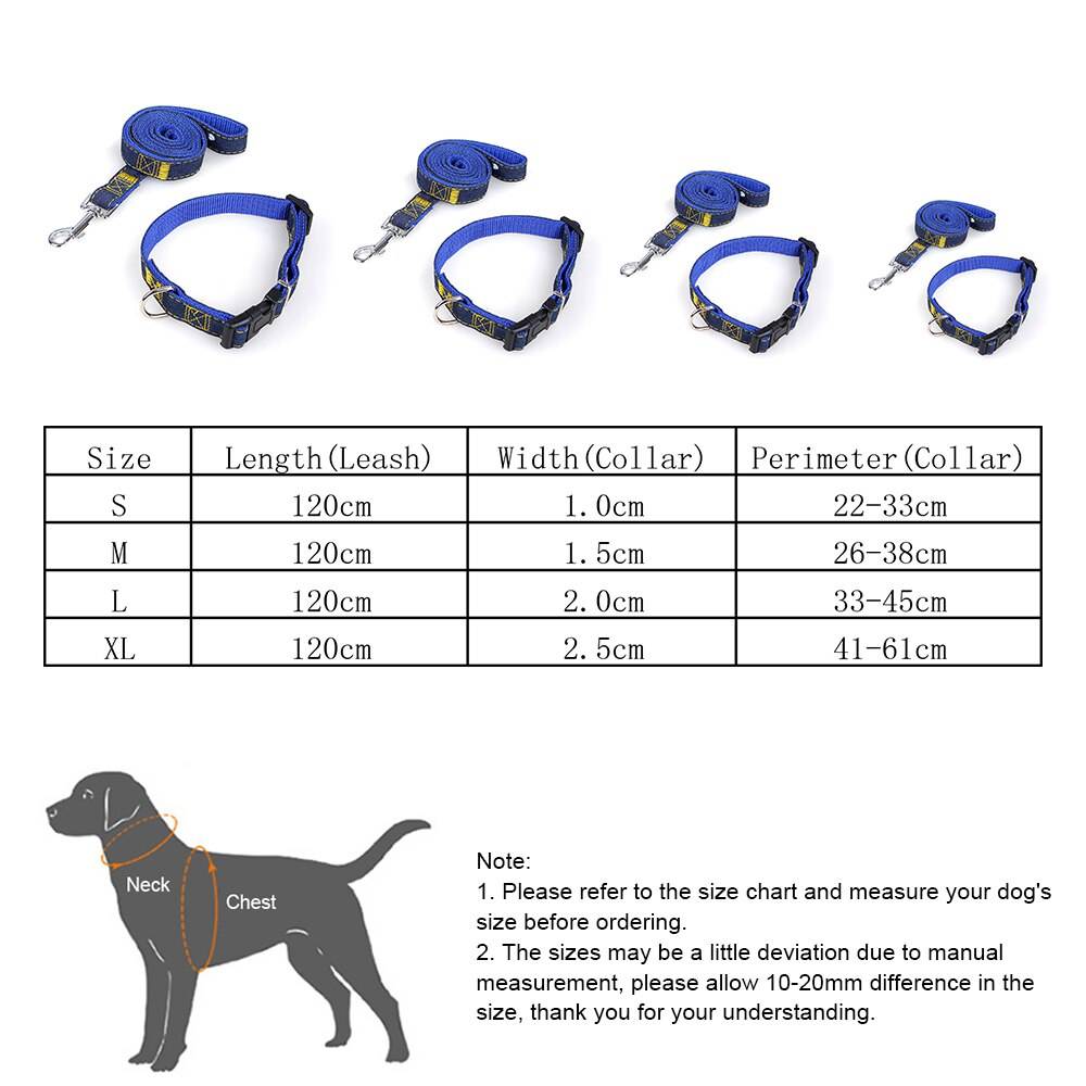 Поводок или рулетка для собаки: плюсы и минусы