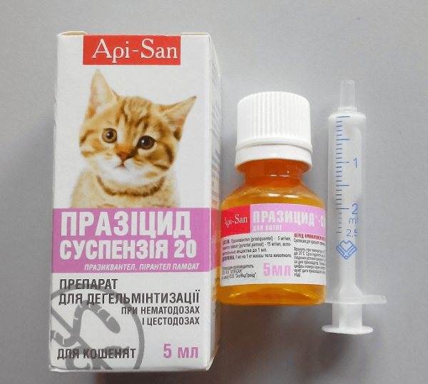 Средства от блох для кошек: полный перечь препаратов, правила использования, народные методы лечения, профилактика
