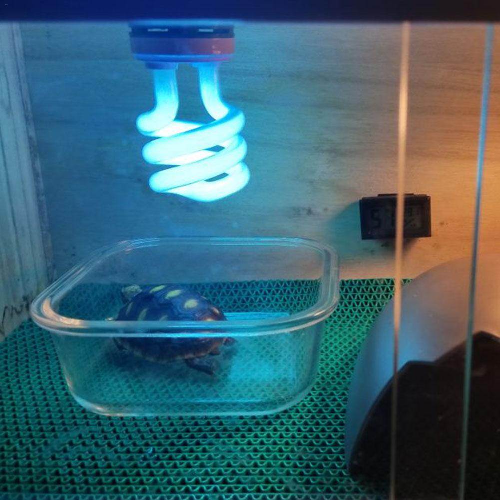 Как выбрать ультрафиолетовую лампу для черепах