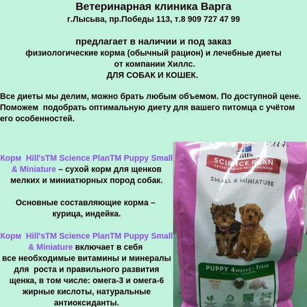 Каким кормом лучше кормить кошку: лучшие корма — советы ветеринаров. виды корма для кошек, опасный корм для кошек — как выбрать хороший корм для кошки?