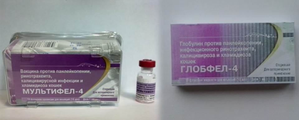 Глобфел-4 для кошек защита питомца от серьёзных инфекций