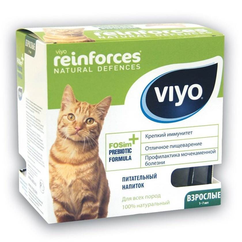 Пробиотики для кошек: список самых популярных марок
