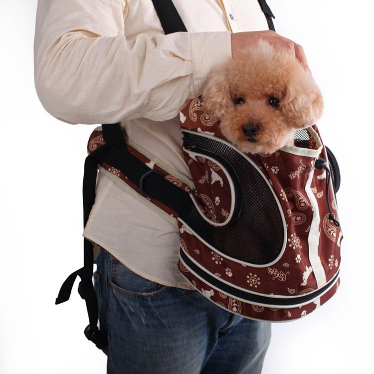 Рюкзак для собаки, разновидности изделий, сумки для разных пород