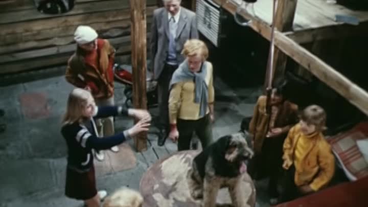 Джек-рассел-терьер – порода собаки из фильма «маска»