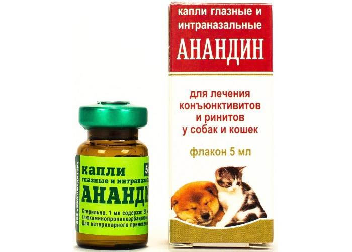 "анандин" для кошек: инструкция по применению :: syl.ru