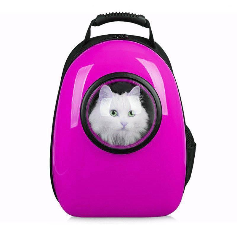 Как своими руками сшить сумку-переноску для кошки, можно ли сделать ее из коробки: описание и выкройки