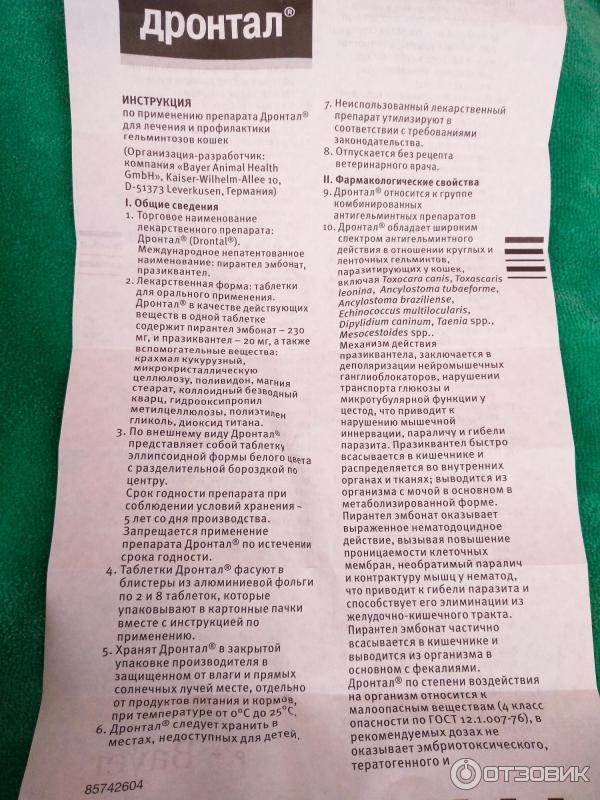 Дронтал для кошек — описание и особенности применения