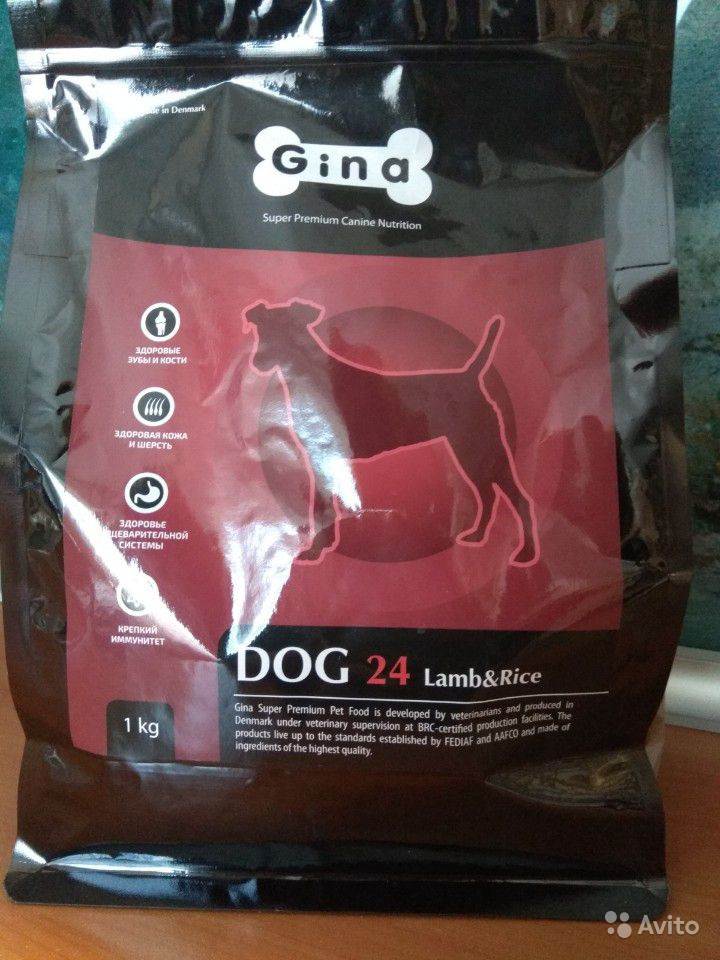 Корм для собак gina (джина): отзыв и обзор состава | «дай лапу»