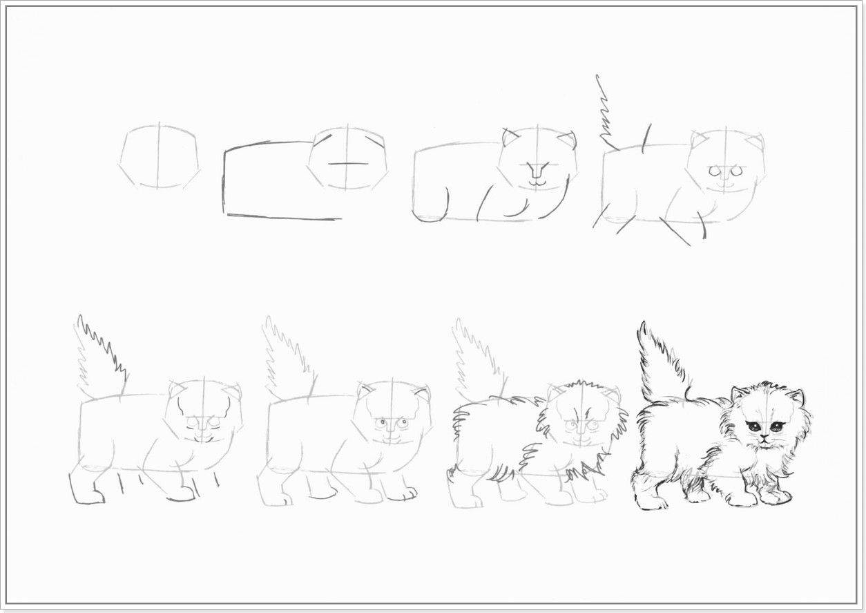 Как нарисовать аниме кошку  поэтапно 15 уроков