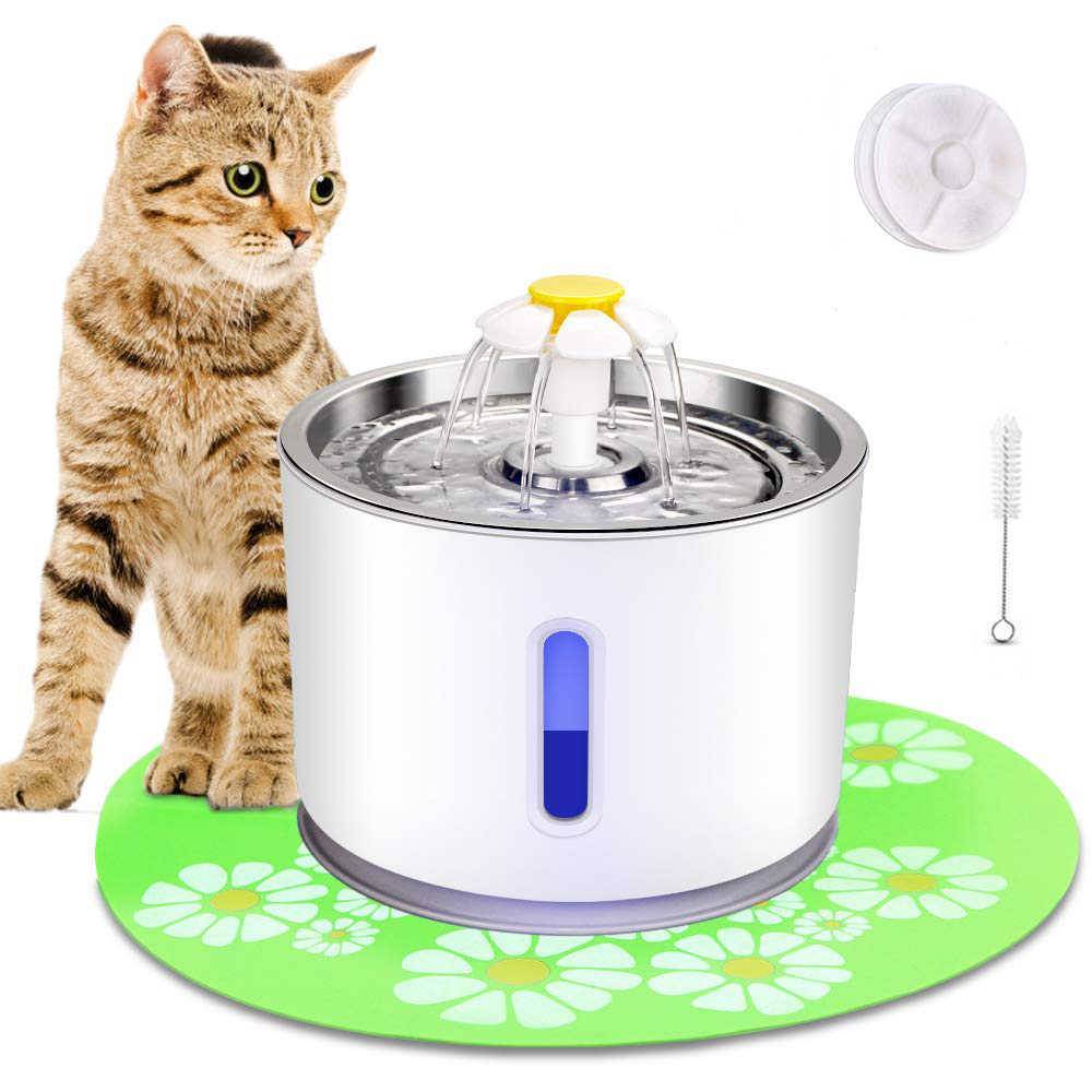 Автопоилка для кошек: виды поилок, особенности, правила выбора и эксплуатации автоматических питьевых фонтанчиков