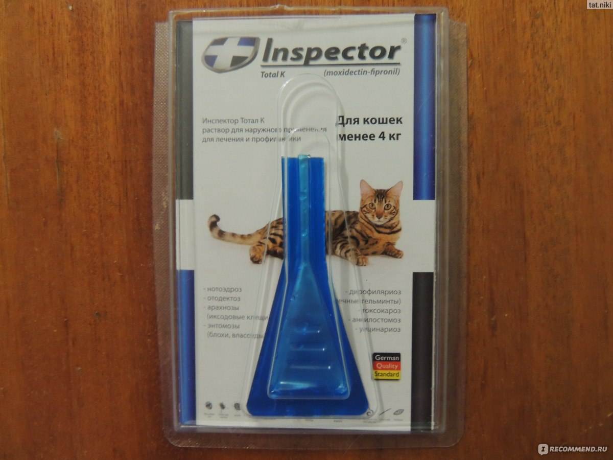 Инспектор для кошек - отзывы, цена, инструкция по применению препарата