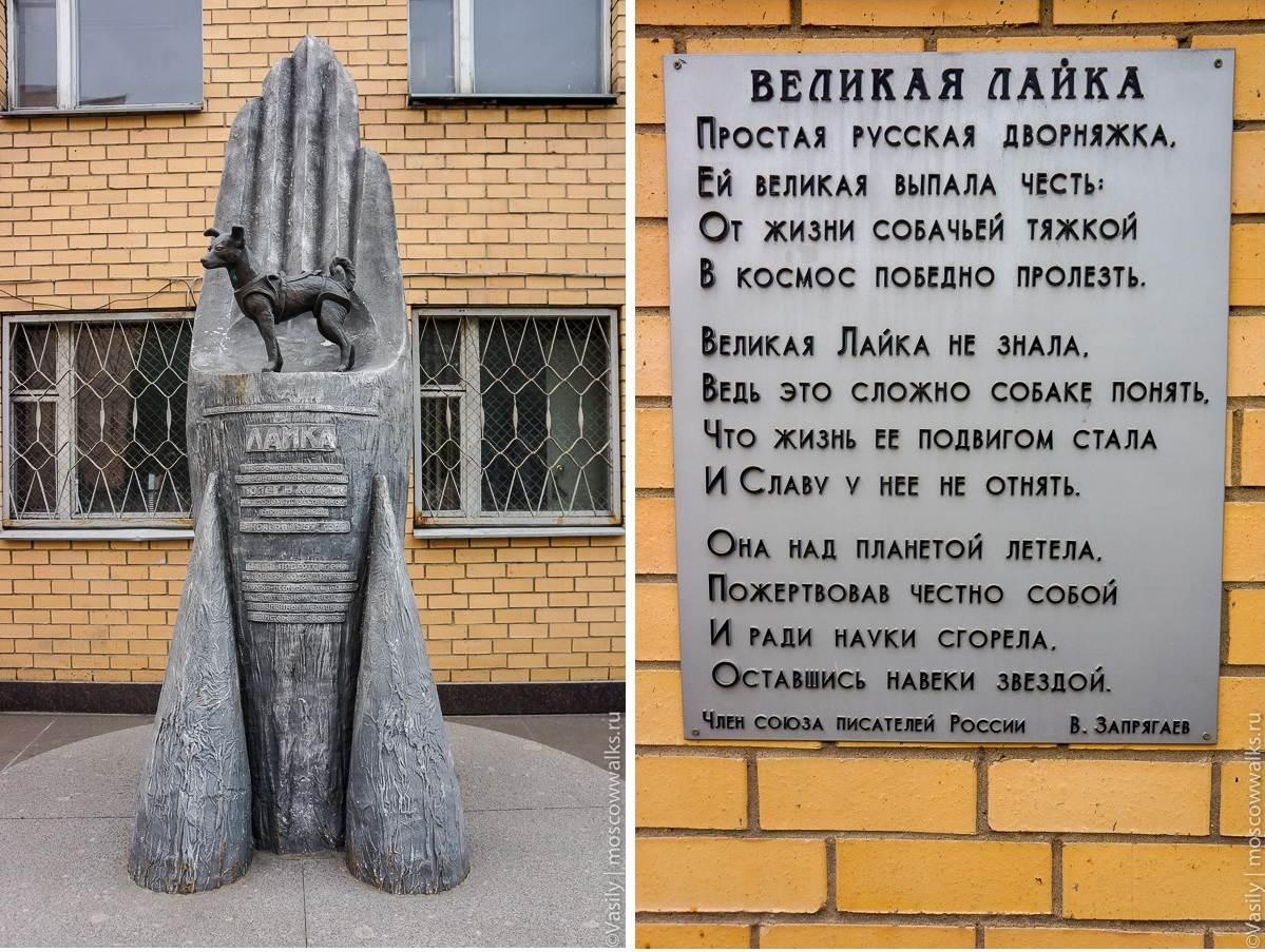 Памятники собакам в россии