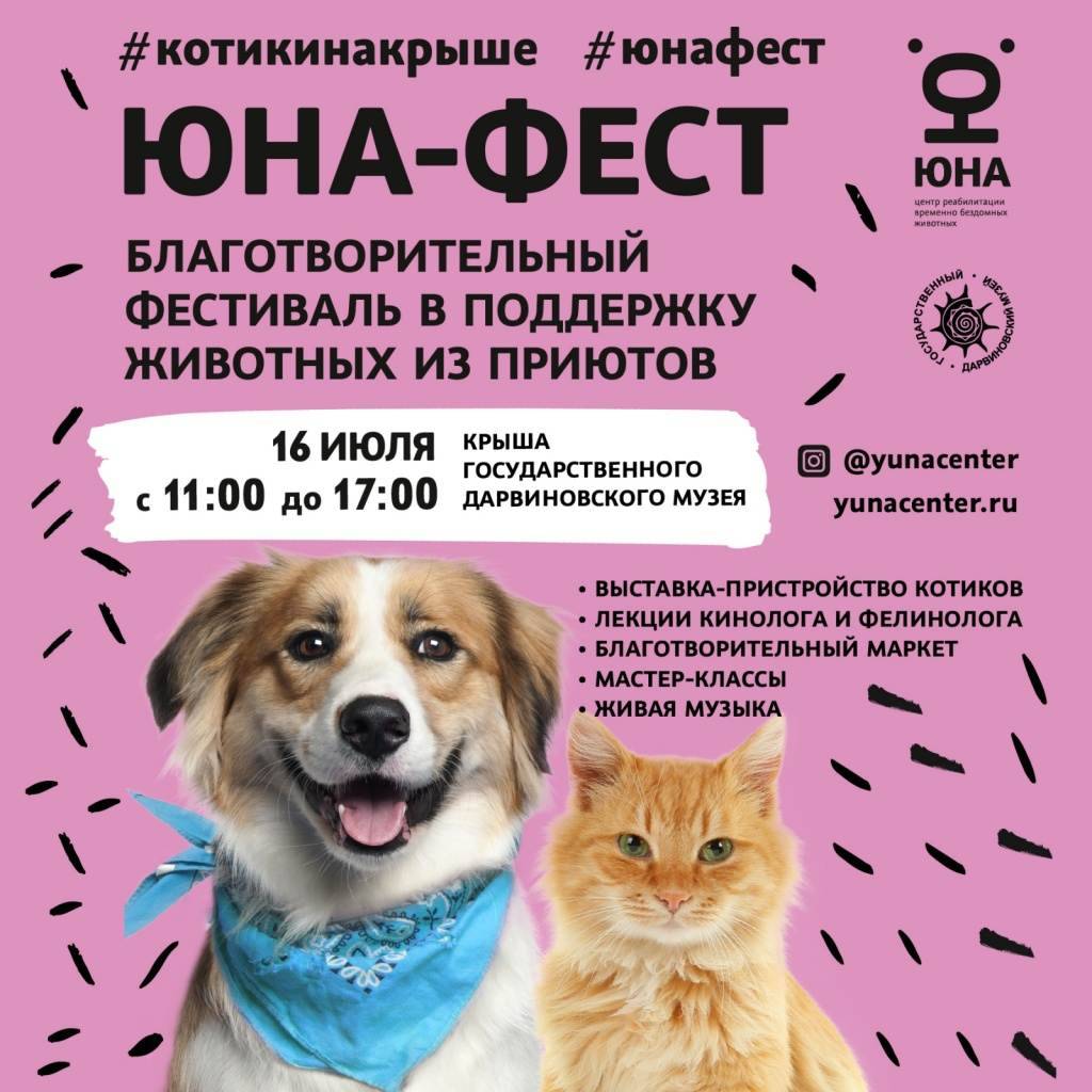 Накормить, погулять, вылечить — большая подборка российских pettech-проектов | rusbase