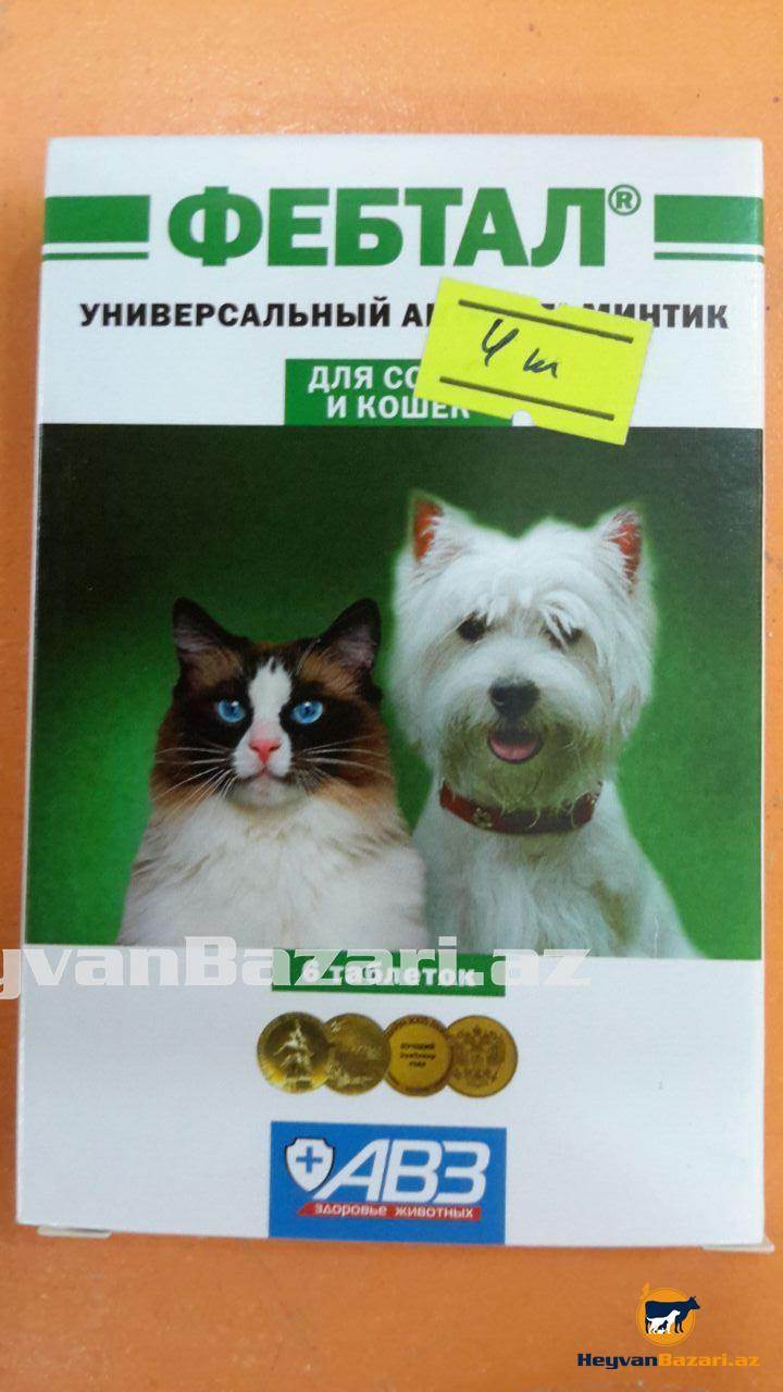 Фебтал комбо (суспензия) для кошек и котят, собак и щенков | отзывы о применении препаратов для животных от ветеринаров и заводчиков