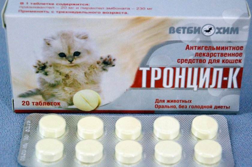 Купить лекарства кошки. Лекарство для кошек. Противоглистное средство для кошек. Антигельминтные препараты для кошек. Противогельминтные препараты для кошек таблетки.