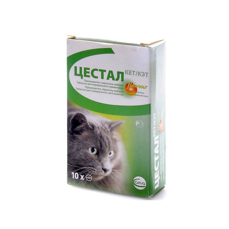 Цестал для кошек: безопасный и эффективный противоглистный препарат