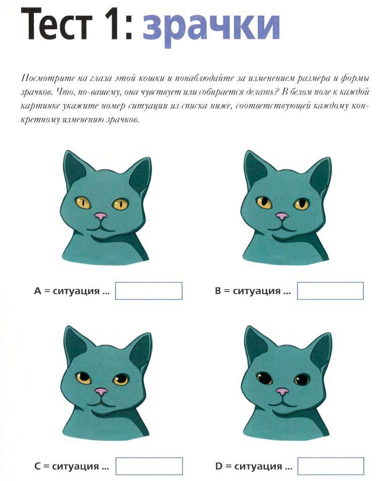 Умеют ли кошки разговаривать