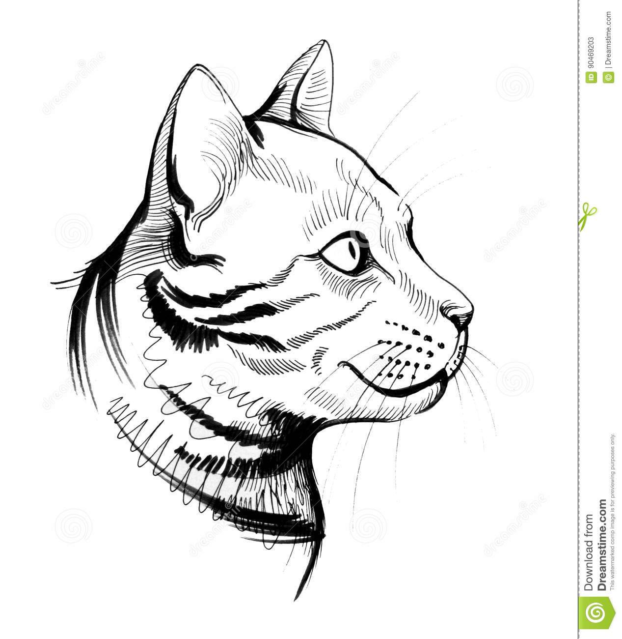 Пошаговое описание создания рисунка мордочки кошки; как поэтапно создать маникюр с котиками
