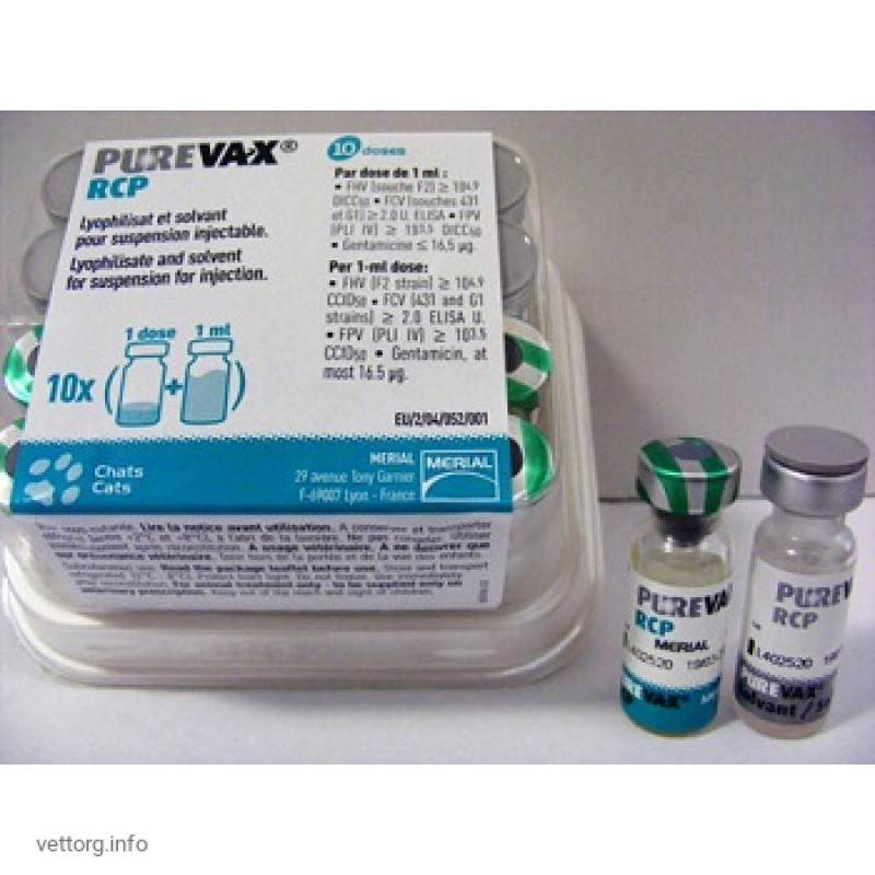 Вакцина пуревакс для кошек