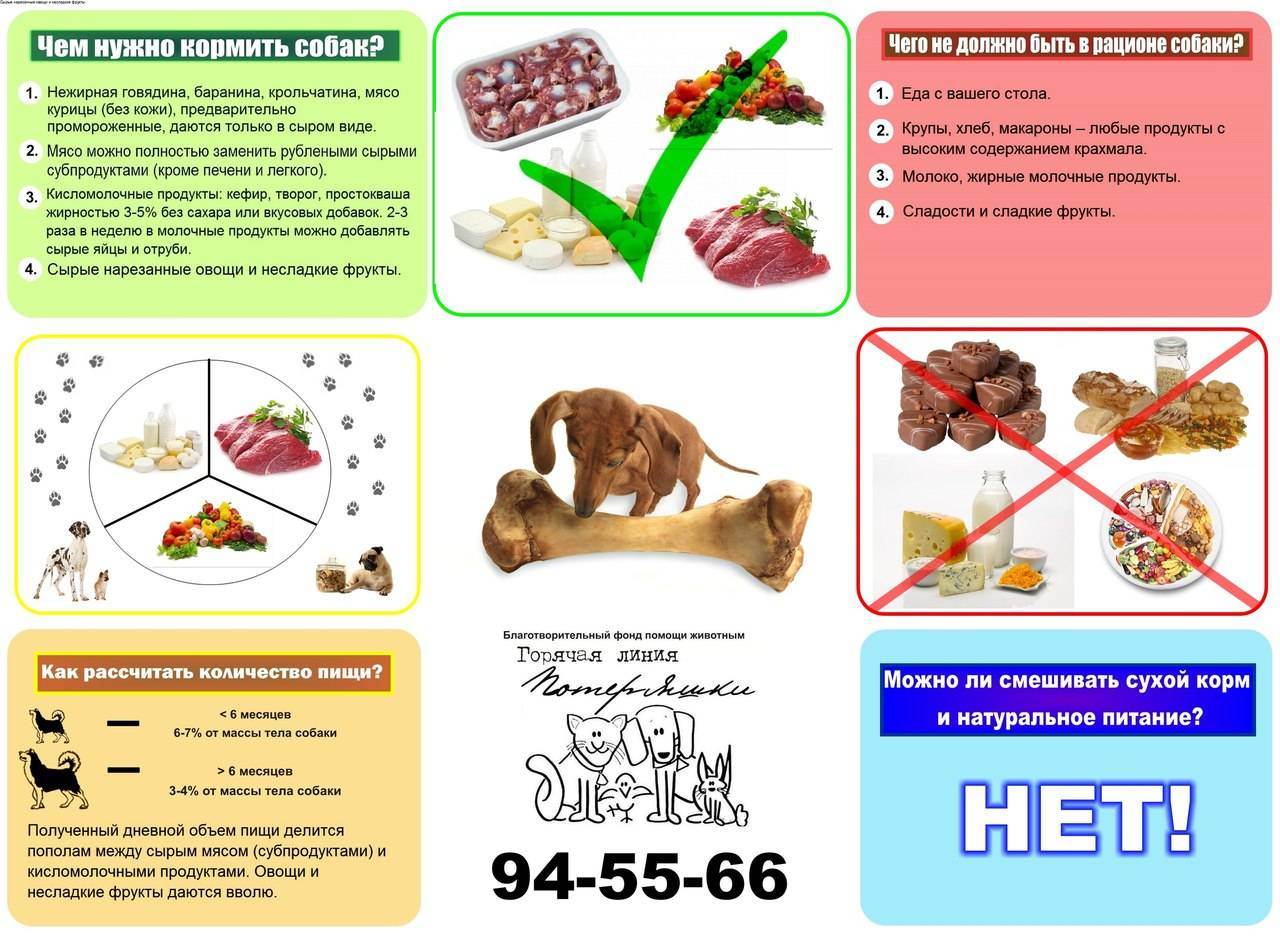 Мясо для собак и субпродукты с говядиной
