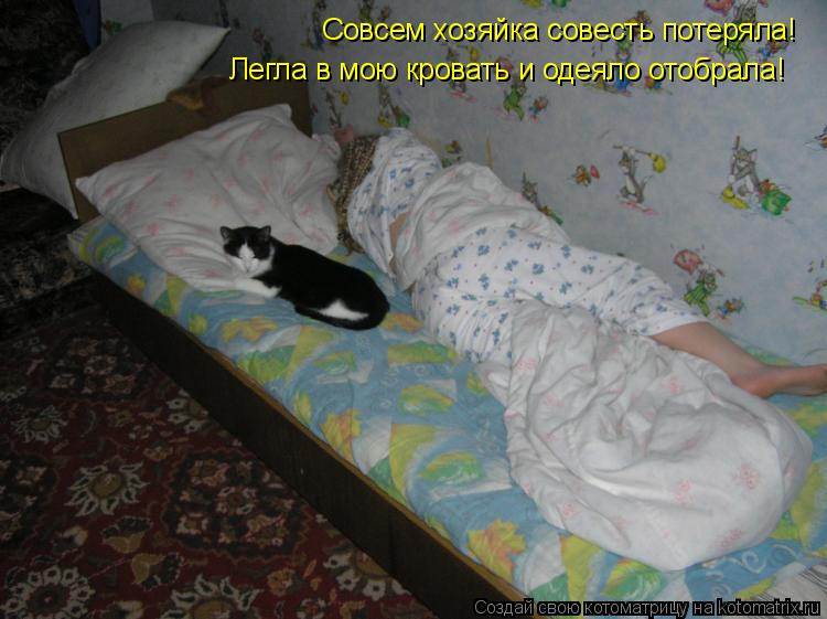 Почему кошка писает на человека. почему кошка гадит на постель: причины и поиск решений. как воспитывать кошку.