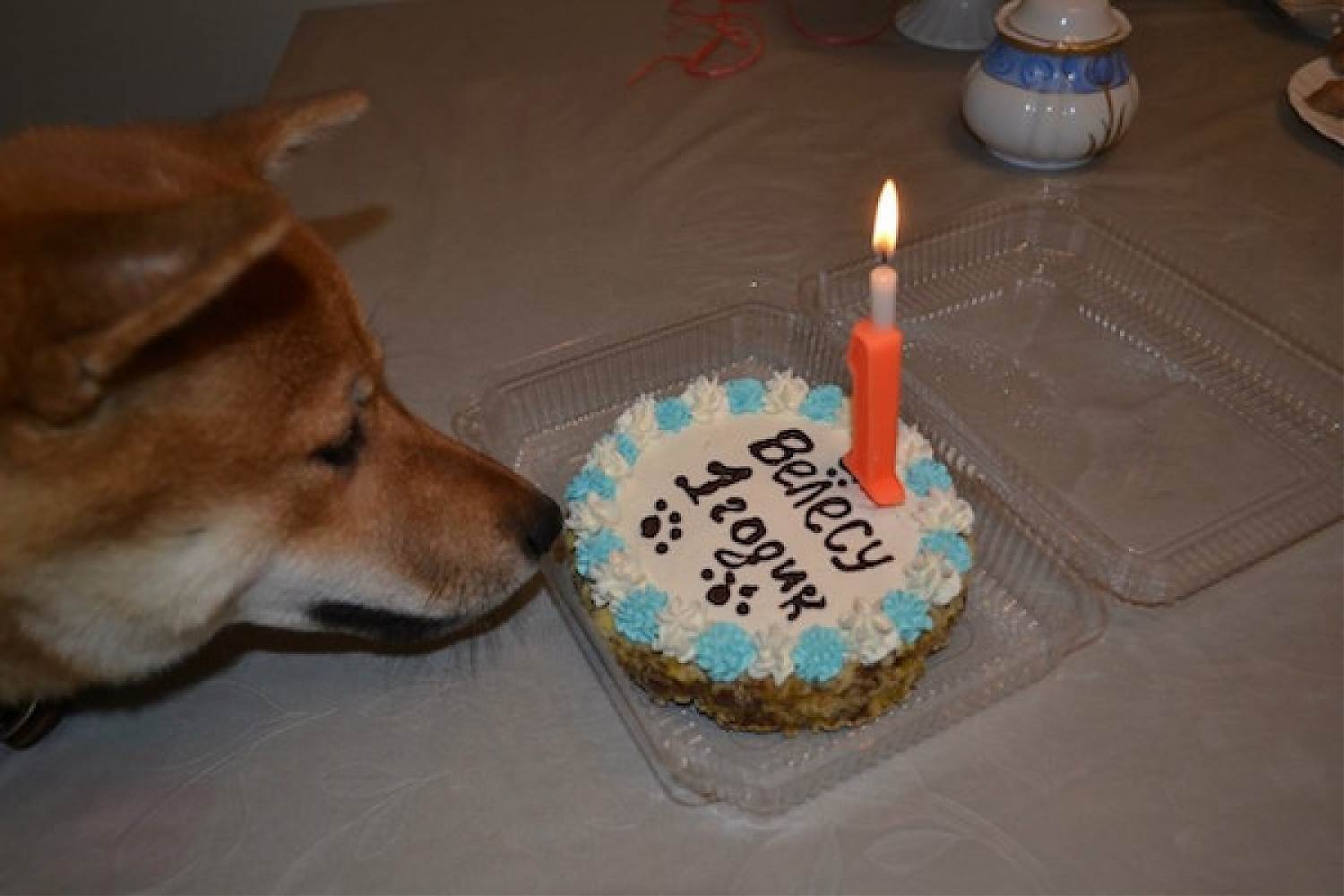 Тортик для собаки
