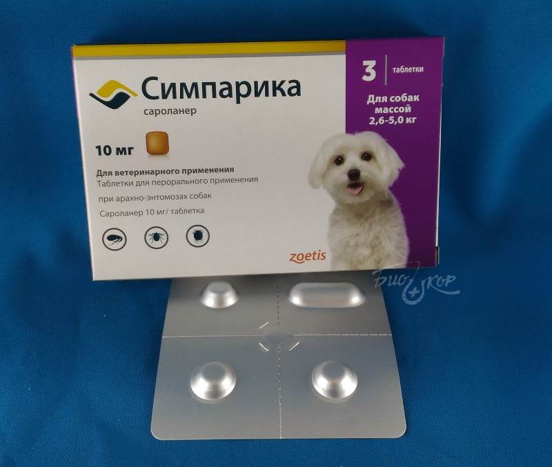 Лекарственный препарат симпарика от блох и клещей у собак