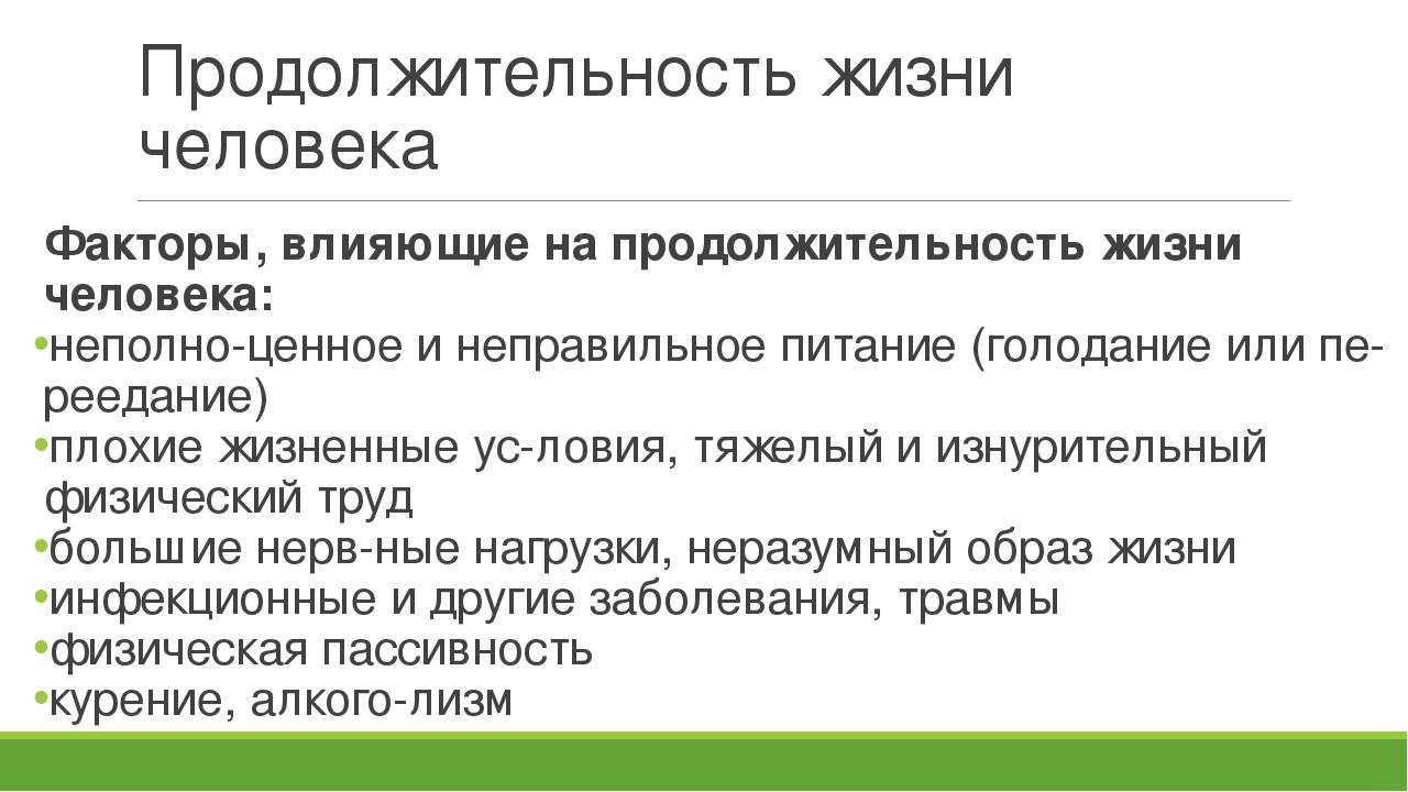 Русский спаниель — порода для любителей прогулок и хозяев частных домов
