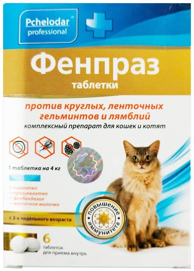 Фенпраз для кошек: инструкция по применению, когда и как применять, отзывы ветеринаров